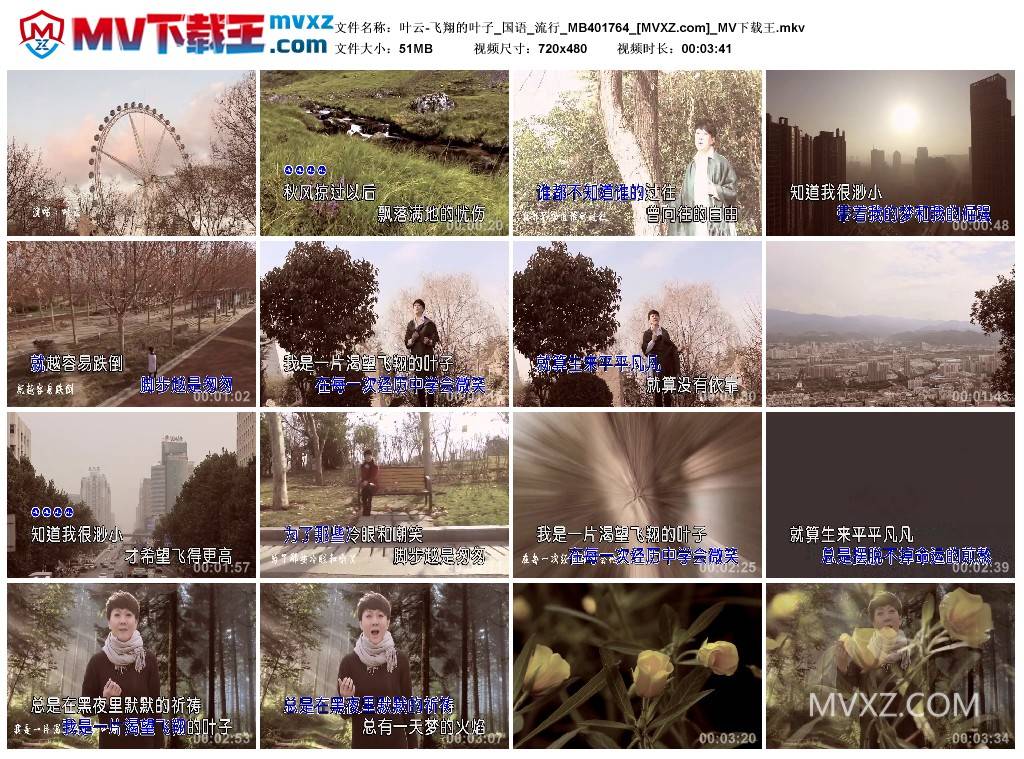 叶云-飞翔的叶子_国语_流行_MB401764